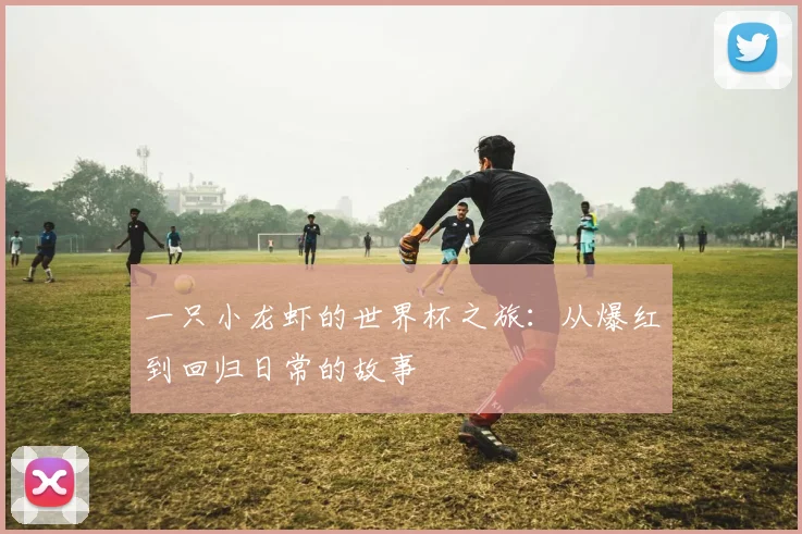 一只小龙虾的世界杯之旅：从爆红到回归日常的故事