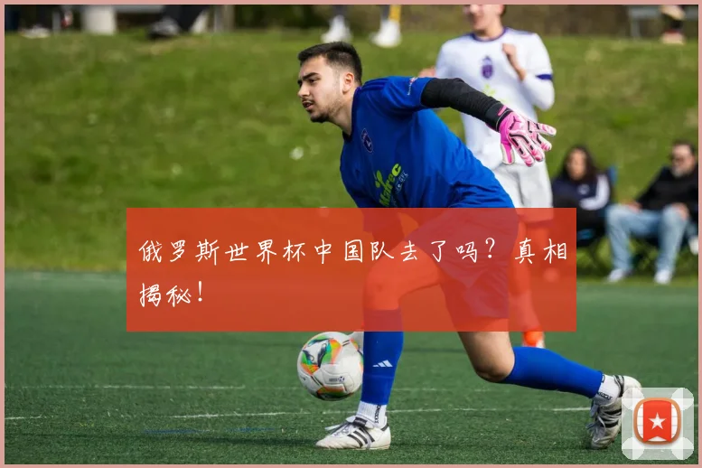 俄罗斯世界杯中国队去了吗？真相揭秘！