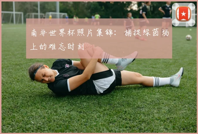 南非世界杯照片集锦：捕捉绿茵场上的难忘时刻