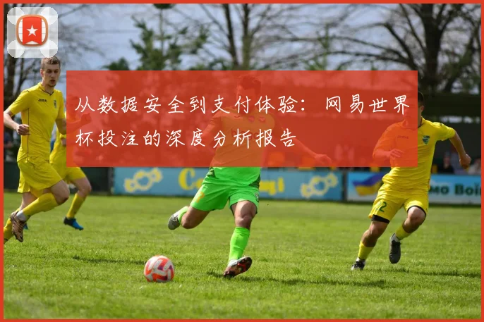 从数据安全到支付体验：网易世界杯投注的深度分析报告