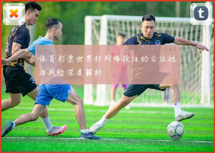 体育彩票世界杯网络投注的合法性与风险深度解析