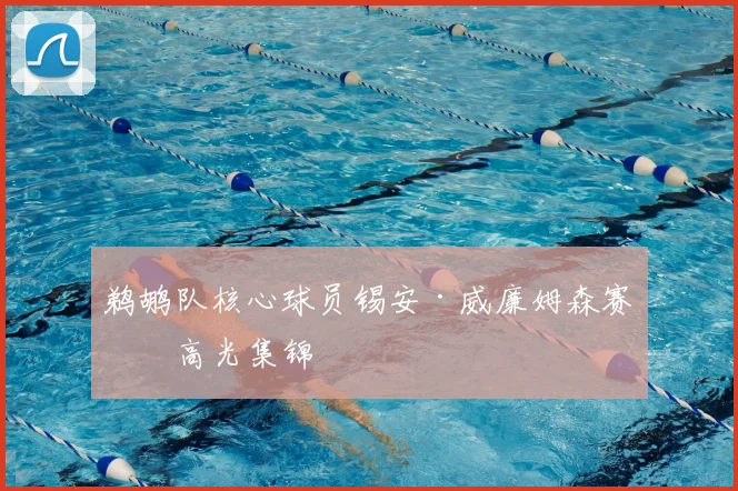 鹈鹕队核心球员锡安·威廉姆森赛季高光集锦