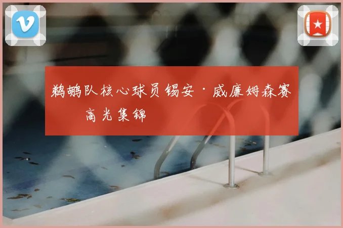 鹈鹕队核心球员锡安·威廉姆森赛季高光集锦