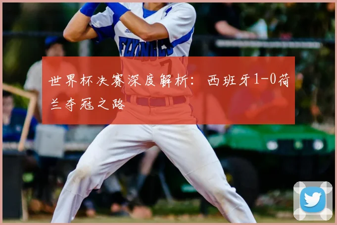 世界杯决赛深度解析：西班牙1-0荷兰夺冠之路