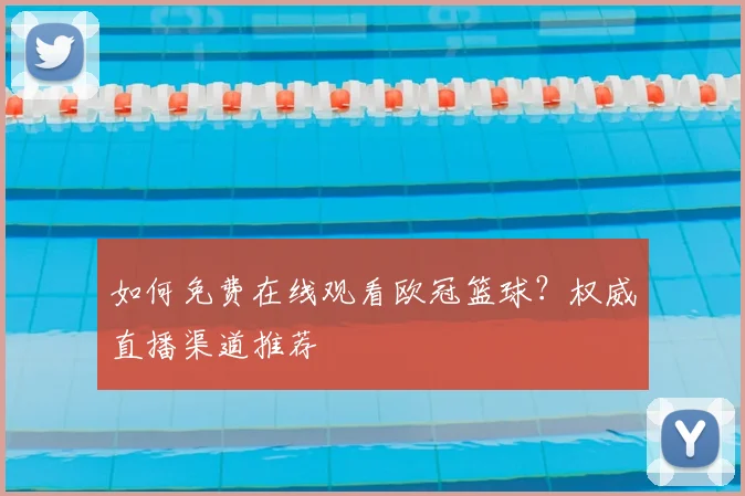 如何免费在线观看欧冠篮球？权威直播渠道推荐