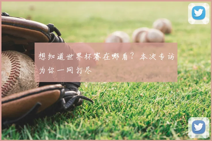 想知道世界杯赛在哪看？本次专访为你一网打尽