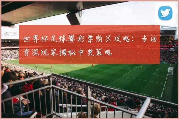 世界杯足球赛彩票购买攻略:专访资深玩家揭秘中奖策略