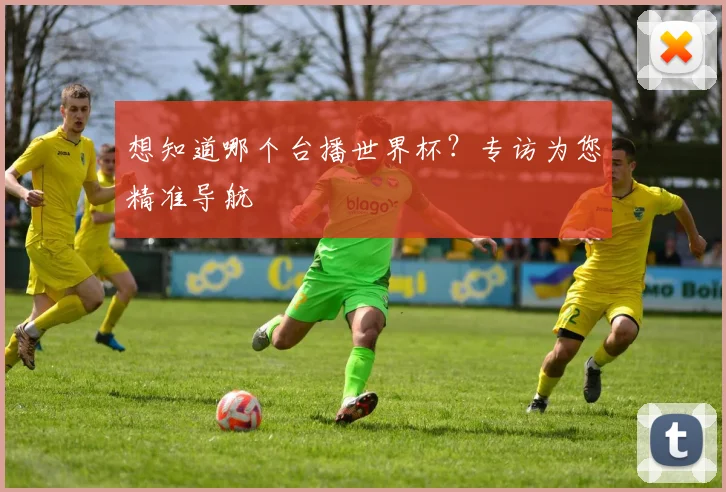 想知道哪个台播世界杯？专访为您精准导航