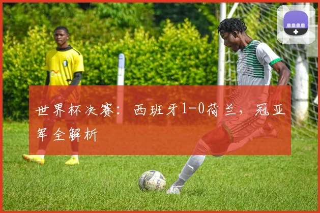 世界杯决赛：西班牙1-0荷兰，冠亚军全解析