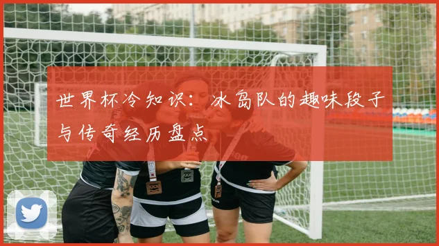 世界杯冷知识:冰岛队的趣味段子与传奇经历盘点