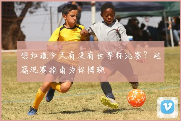 想知道今天有没有世界杯比赛？这篇观赛指南为你揭晓