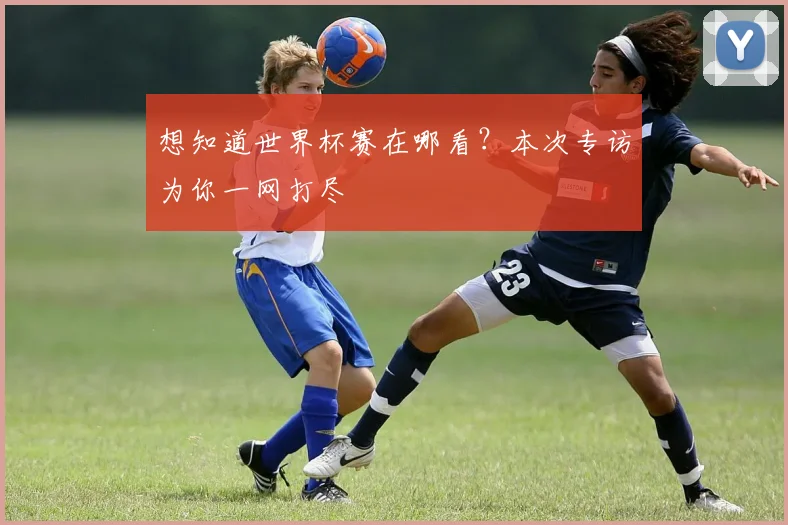 想知道世界杯赛在哪看？本次专访为你一网打尽