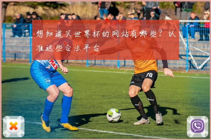 想知道买世界杯的网站有哪些？认准这些合法平台