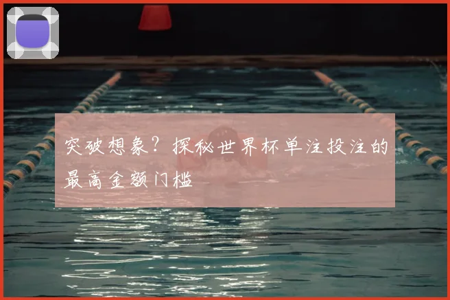 突破想象？探秘世界杯单注投注的最高金额门槛