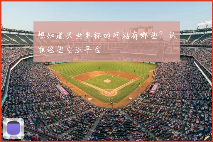 想知道买世界杯的网站有哪些？认准这些合法平台