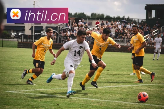 乐鱼网页版直接进入APP 封面图